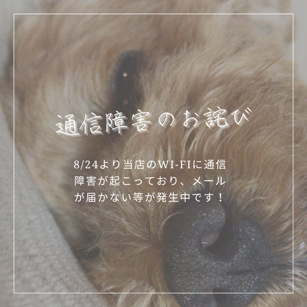 8/24より通信障害が発生しております。